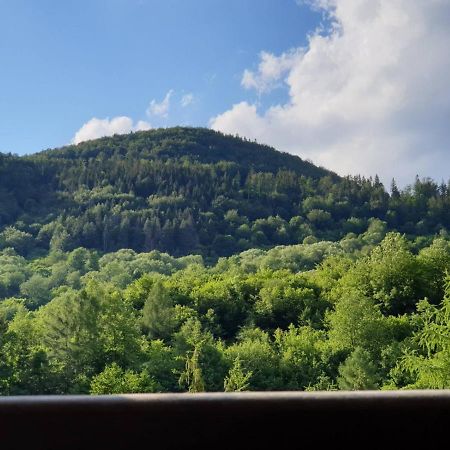 Apartman Viktoria Terchová Exteriér fotografie