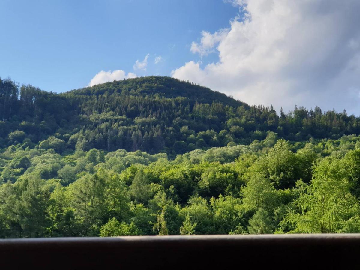 Apartman Viktoria Terchová Exteriér fotografie